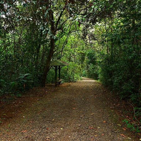Tree Houses Hotel Costa Rica Florencia المظهر الخارجي الصورة