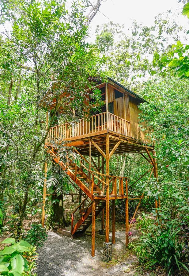 Tree Houses Hotel Costa Rica Florencia المظهر الخارجي الصورة