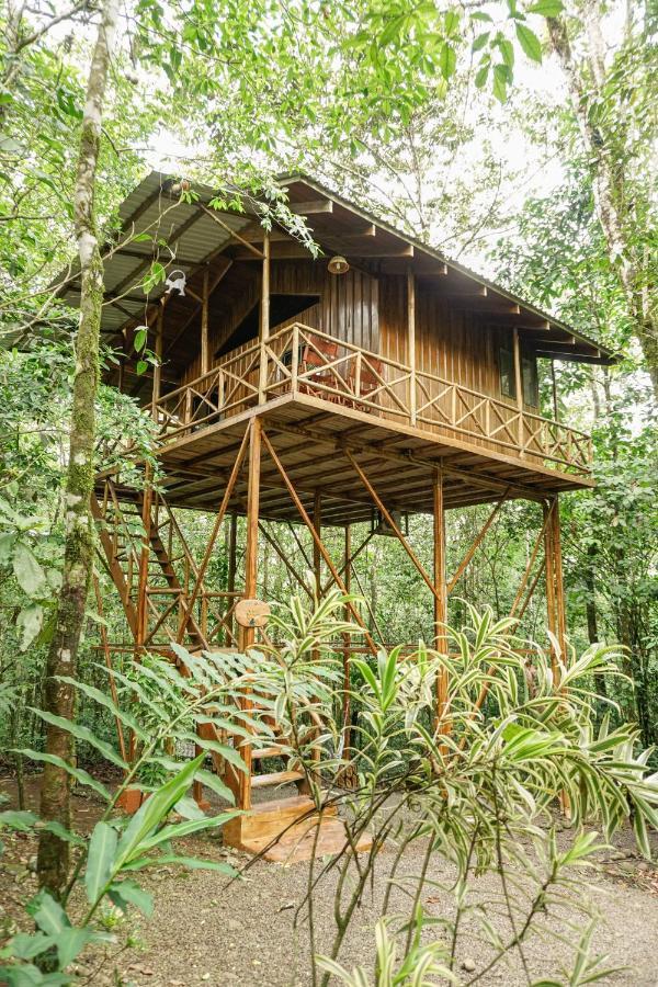 Tree Houses Hotel Costa Rica Florencia المظهر الخارجي الصورة