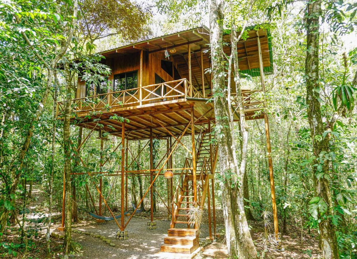 Tree Houses Hotel Costa Rica Florencia المظهر الخارجي الصورة