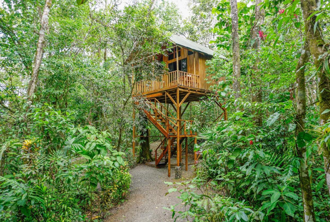 Tree Houses Hotel Costa Rica Florencia المظهر الخارجي الصورة