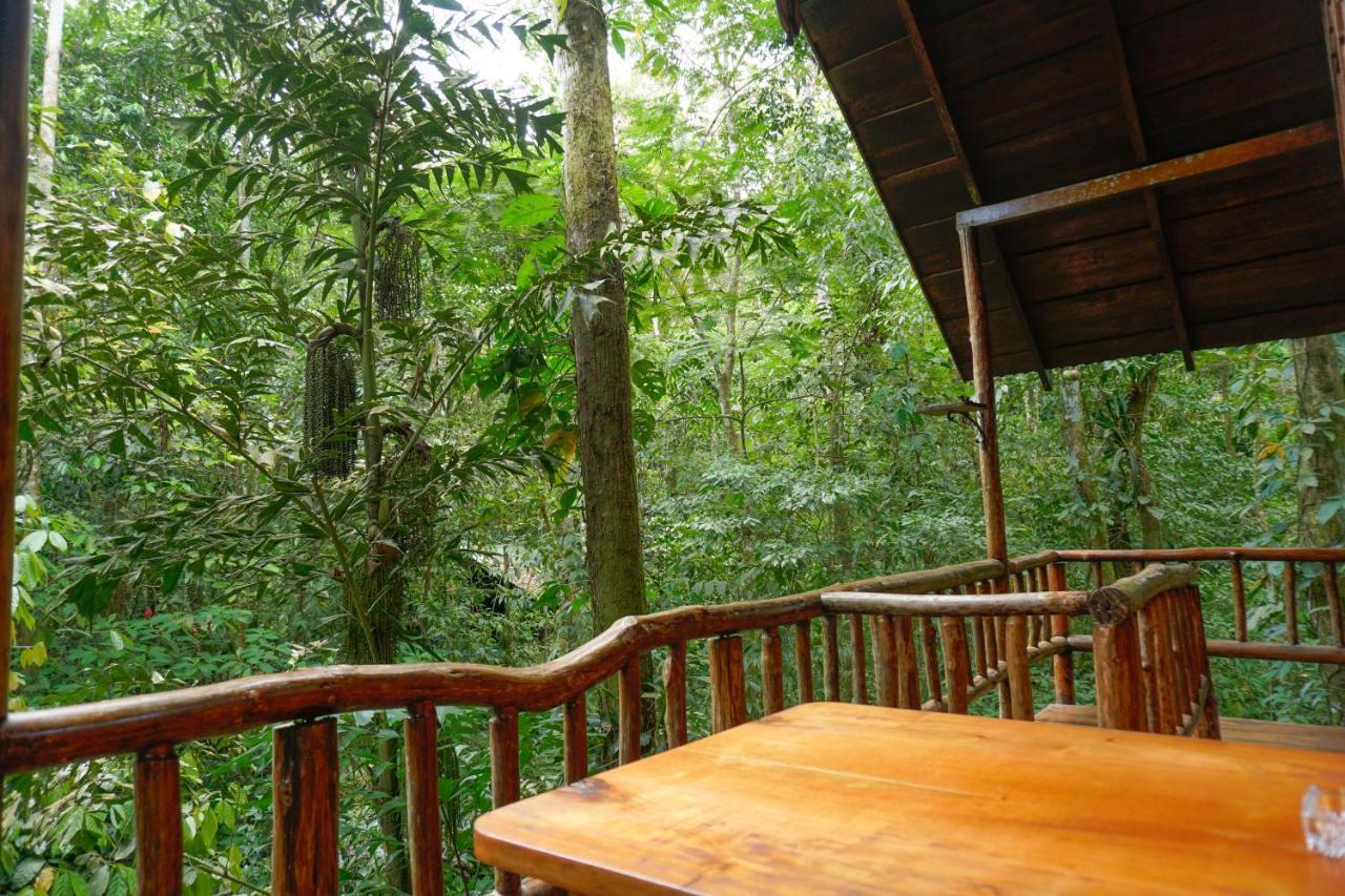 Tree Houses Hotel Costa Rica Florencia المظهر الخارجي الصورة