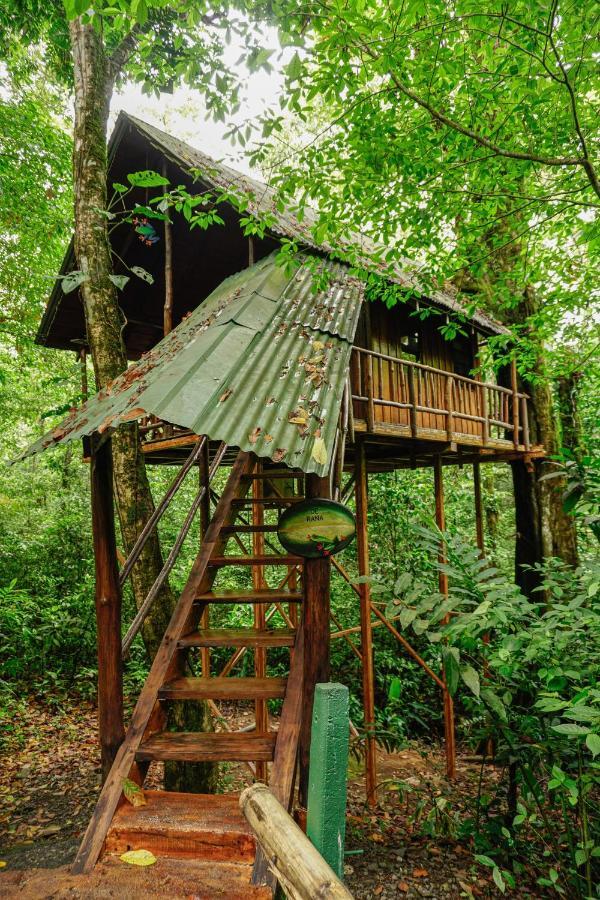 Tree Houses Hotel Costa Rica Florencia المظهر الخارجي الصورة