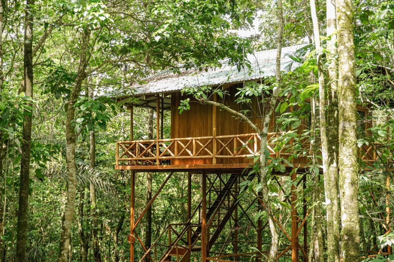 Tree Houses Hotel Costa Rica Florencia المظهر الخارجي الصورة