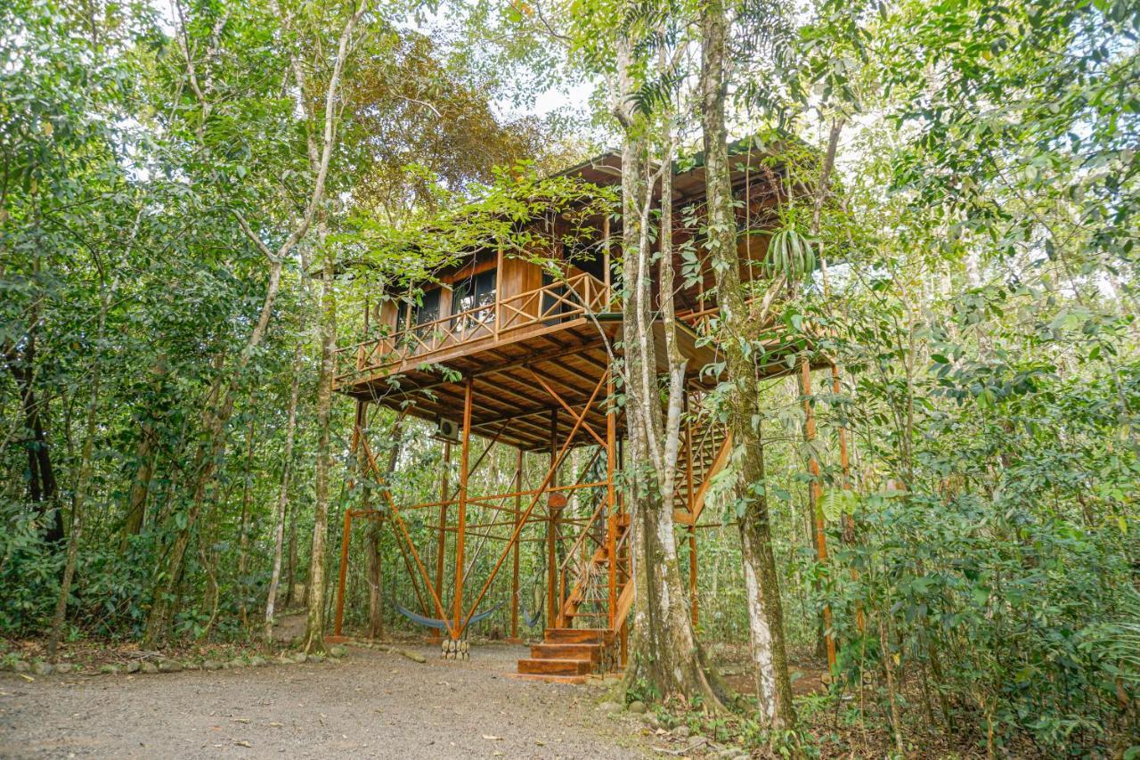 Tree Houses Hotel Costa Rica Florencia المظهر الخارجي الصورة