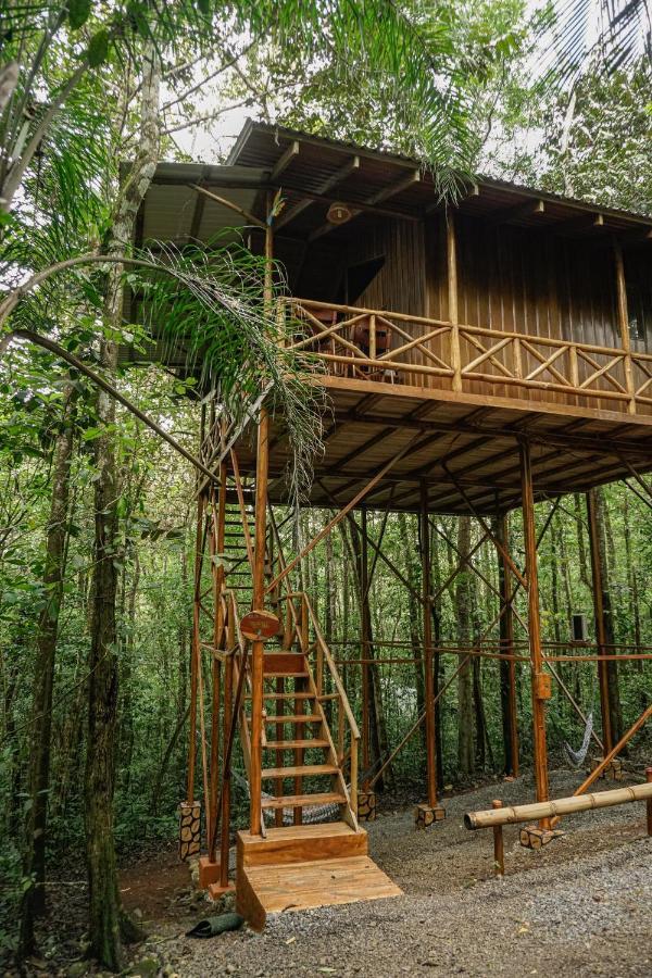 Tree Houses Hotel Costa Rica Florencia المظهر الخارجي الصورة