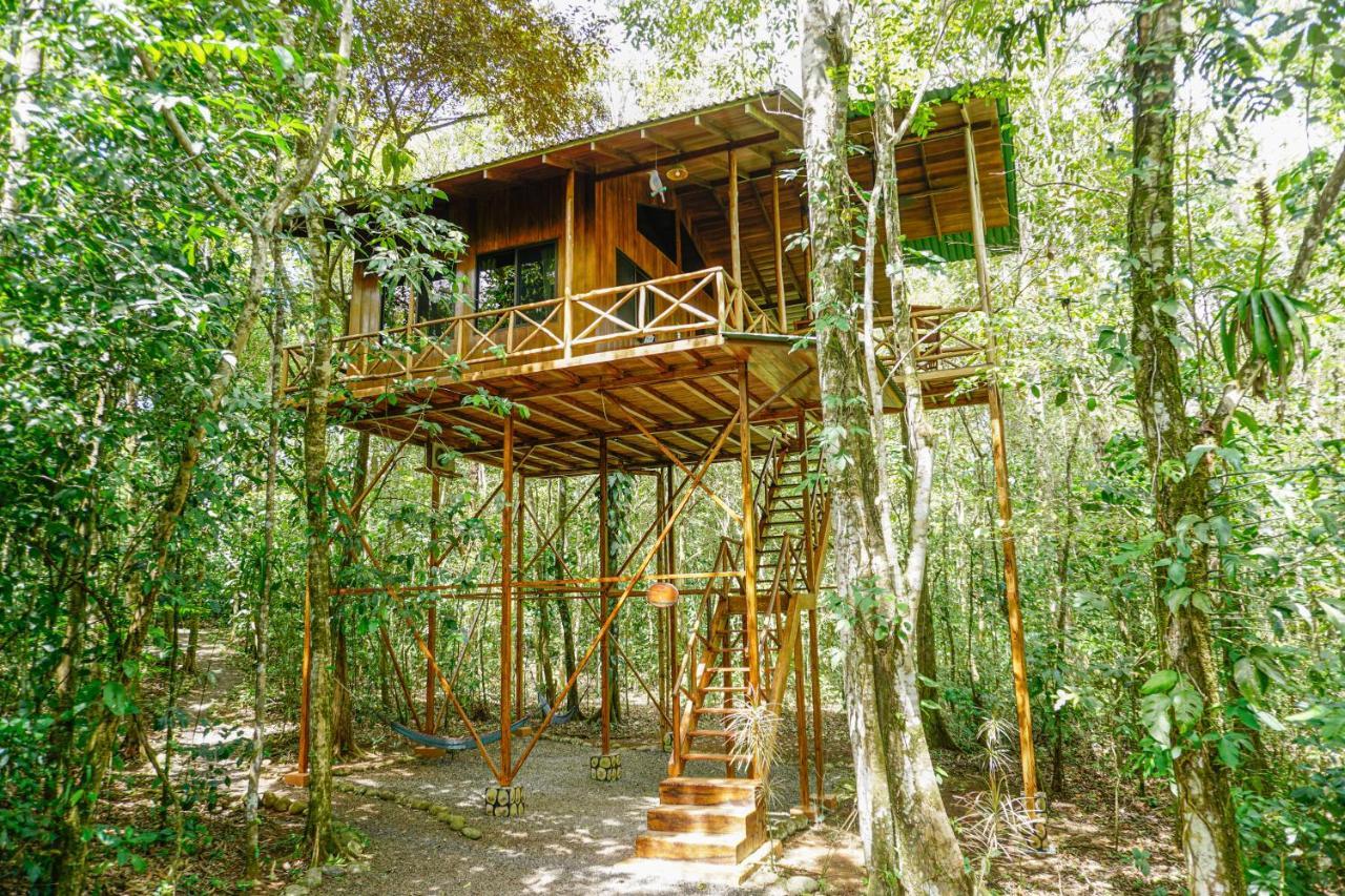 Tree Houses Hotel Costa Rica Florencia المظهر الخارجي الصورة