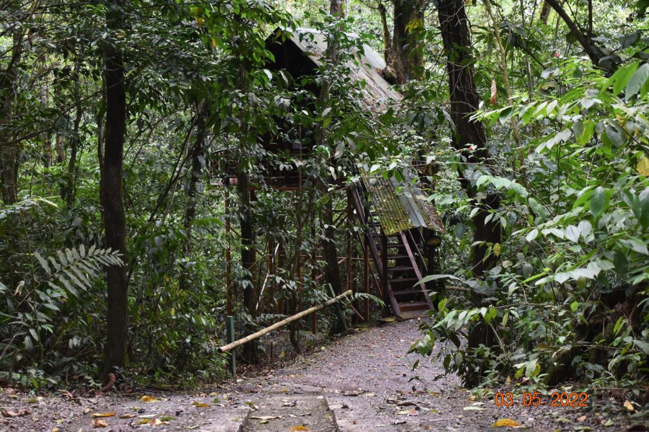 Tree Houses Hotel Costa Rica Florencia المظهر الخارجي الصورة