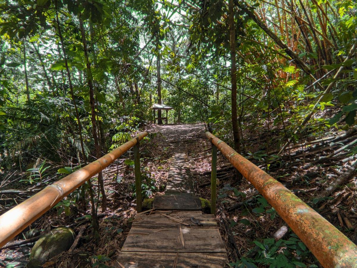Tree Houses Hotel Costa Rica Florencia المظهر الخارجي الصورة