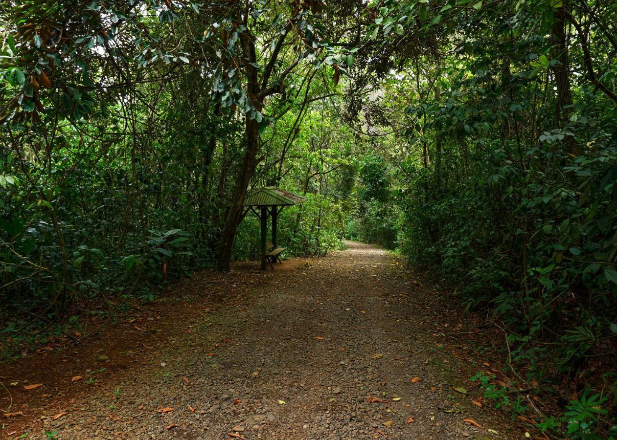 Tree Houses Hotel Costa Rica Florencia المظهر الخارجي الصورة