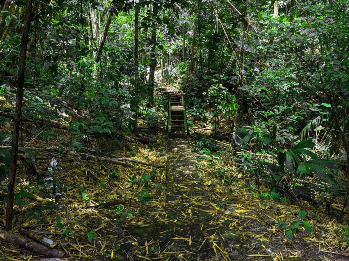 Tree Houses Hotel Costa Rica Florencia المظهر الخارجي الصورة
