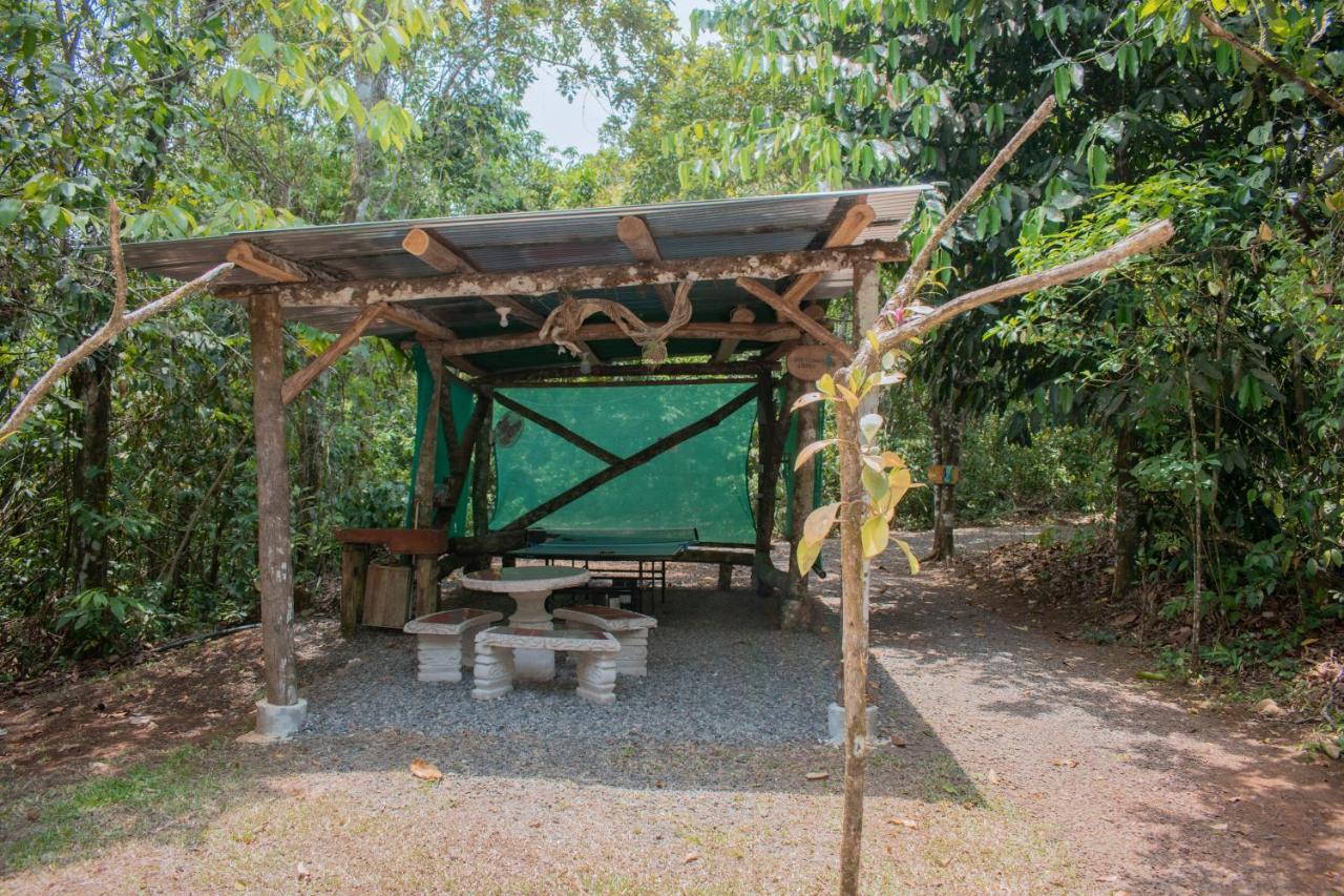 Tree Houses Hotel Costa Rica Florencia المظهر الخارجي الصورة